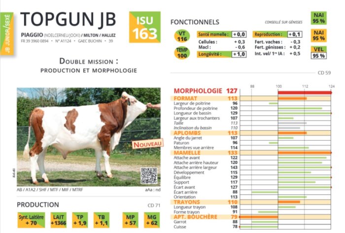 TOPGUN : double mission, production et morphologie ! - Eva Jura : Eva Jura