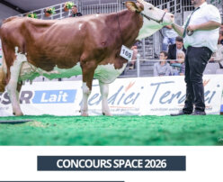 2026 09 16 - SPACE 2026 - Sofy