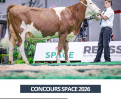 2026 09 16 - SPACE 2026 - Taylor