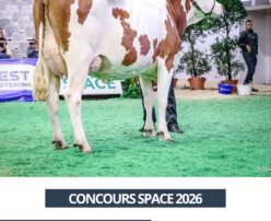 2026 09 16 - SPACE 2026 - Ultra