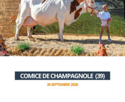 2026 09 26 - Comice Champagnole - IOSY