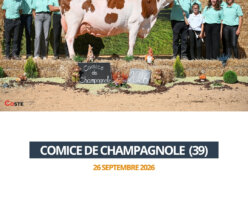 2026 09 26 - Comice Champagnole - PAMELA
