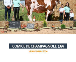 2026 09 26 - Comice Champagnole - TENDRESSE