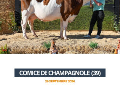 2026 09 26 - Comice Champagnole - TRINITE