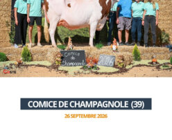 2026 09 26 - Comice Champagnole - UNE ETOILE