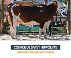 2026 09 26 comice de Saint Hippolyte - Palinka