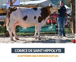 2026 09 26 comice de Saint Hippolyte - TAMARA (2)