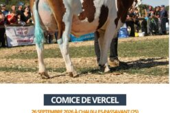 2026 09 26 comice de Vercel - TWINGO