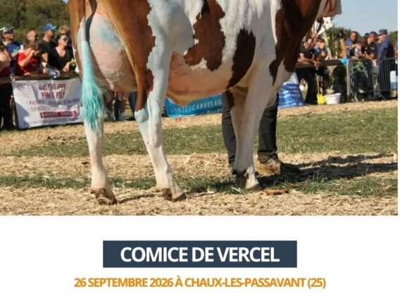 2026 09 26 comice de Vercel - TWINGO