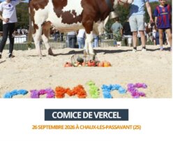 2026 09 26 comice de Vercel - ULTRACHIC