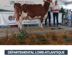 2026 10 01 - Départemental Loire Atlantique - TROTINETTE