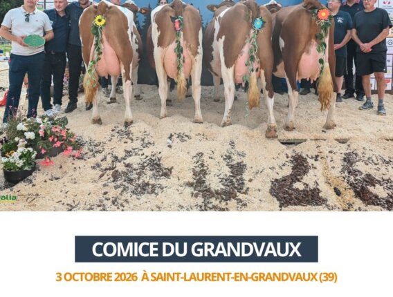 2026 10 03 Comice GRANDVAUX - GAEC DES GRANDS CURTILS