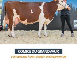 2026 10 03 Comice GRANDVAUX - LOLITA