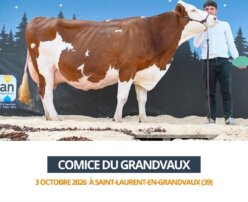 2026 10 03 Comice GRANDVAUX - NOIRAUDE