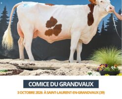 2026 10 03 Comice GRANDVAUX - PAIX
