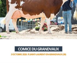 2026 10 03 Comice GRANDVAUX - PEGUE