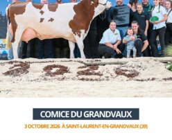 2026 10 03 Comice GRANDVAUX - RYHANA