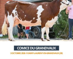 2026 10 03 Comice GRANDVAUX - SALOON