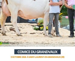 2026 10 03 Comice GRANDVAUX - TENACITE