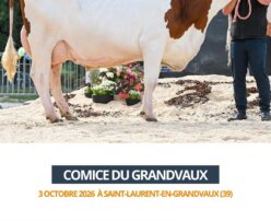 2026 10 03 Comice GRANDVAUX - TOBYRRA