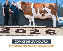 2026 10 03 Comice GRANDVAUX - TOSCANE