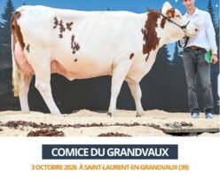 2026 10 03 Comice GRANDVAUX - TROTDNEIGE