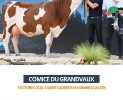 2026 10 03 Comice GRANDVAUX - TYRANNAGE