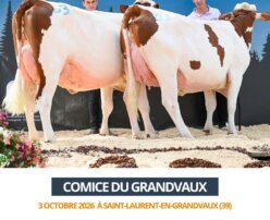 2026 10 03 Comice GRANDVAUX - USURPEUSE (2)