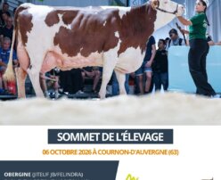 2026 10 06 Sommet de l'élevage - OBERGINE