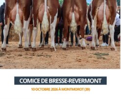 2026 10 10 - Comice Bresse-Revermont - EARL TARTAVEZ
