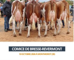 2026 10 10 - Comice Bresse-Revermont - GAEC VERNAY