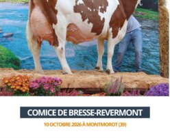 2026 10 10 - Comice Bresse-Revermont - ROSIE