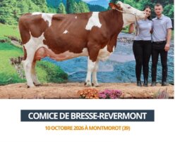 2026 10 10 - Comice Bresse-Revermont - SEPHORA