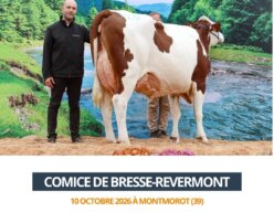 2026 10 10 - Comice Bresse-Revermont - SOLUTION