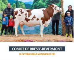2026 10 10 - Comice Bresse-Revermont - TIGRESSE
