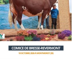 2026 10 10 - Comice Bresse-Revermont - TOUTEBELLE