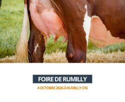 2026 10 20 - Foire de Rumilly - URUGUAY 2