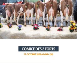 2026 10 23 - Comice des 2 Forts - EARL ELEVAGE DU FOUF VIENNET