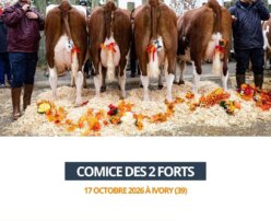 2026 10 23 - Comice des 2 Forts - M. DAVID YANNICK