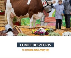 2026 10 23 - Comice des 2 Forts - MAJORETTE