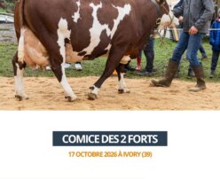 2026 10 23 - Comice des 2 Forts - NICE