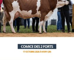 2026 10 23 - Comice des 2 Forts - OFFRANDE
