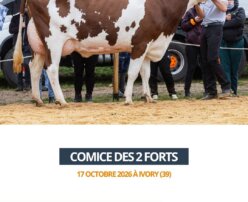 2026 10 23 - Comice des 2 Forts - UBALIKA