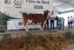 Départemental Loire Atlantique