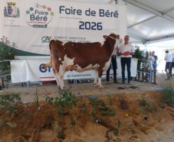 Départemental Loire Atlantique