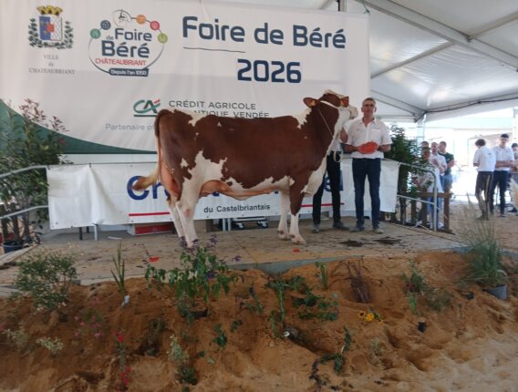 Départemental Loire Atlantique